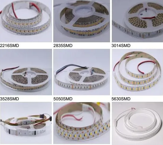 Wholesale New High Lumen Waterproof IP66 SMD 3528 Rope Tape Flexible /Flex LED Neon Strip Light for Christmas Decoration