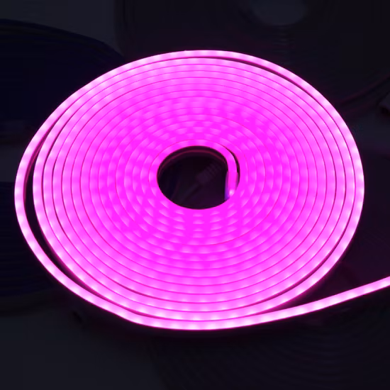 Factory Wholesale Bulkbuy IP20 Multicolor TV Backlight Cabinet DC24V 12V Decoration Lighting Flexible SMD2835 300 Shenzhen LED Strip Light